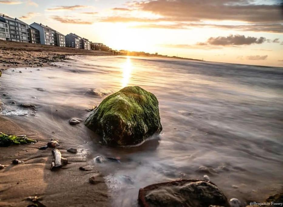 Apartament Le Refuge Marin Courseulles-sur-Mer Zewnętrze zdjęcie